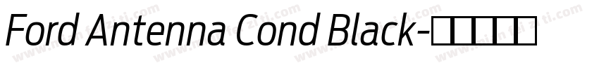 Ford Antenna Cond Black字体转换